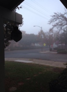 濃い霧が立ち込めた朝