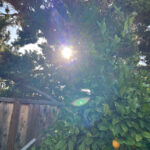 今年も猛暑日に備えて…