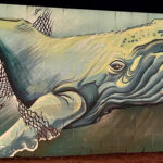 今年初のサンセットウオーク