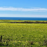 三連休の最終日は海沿いのドライブ