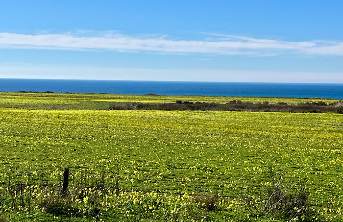 三連休の最終日は海沿いのドライブ