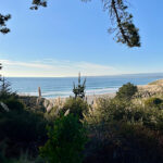 大好きなカルフォルニアコースト