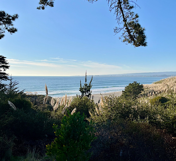 大好きなカルフォルニアコースト