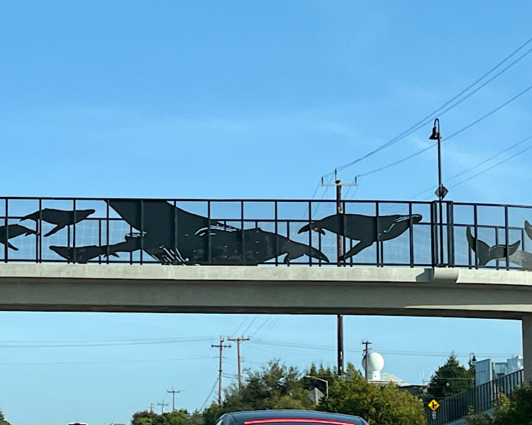 １月最後の土曜日は…