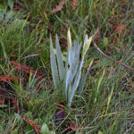 今年も始まりました