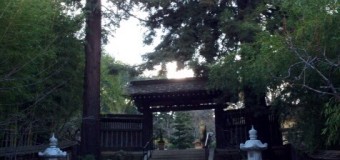 日本庭園 箱根ガーデン