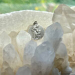 停留睾丸摘出手術後６日目