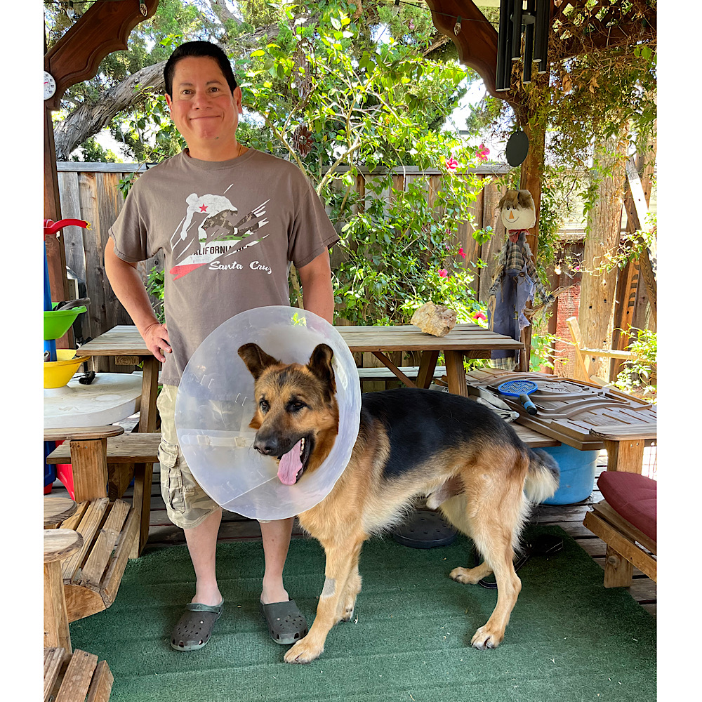 停留睾丸摘出手術１４日目