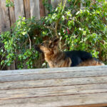 くしゃみがとまらない理由