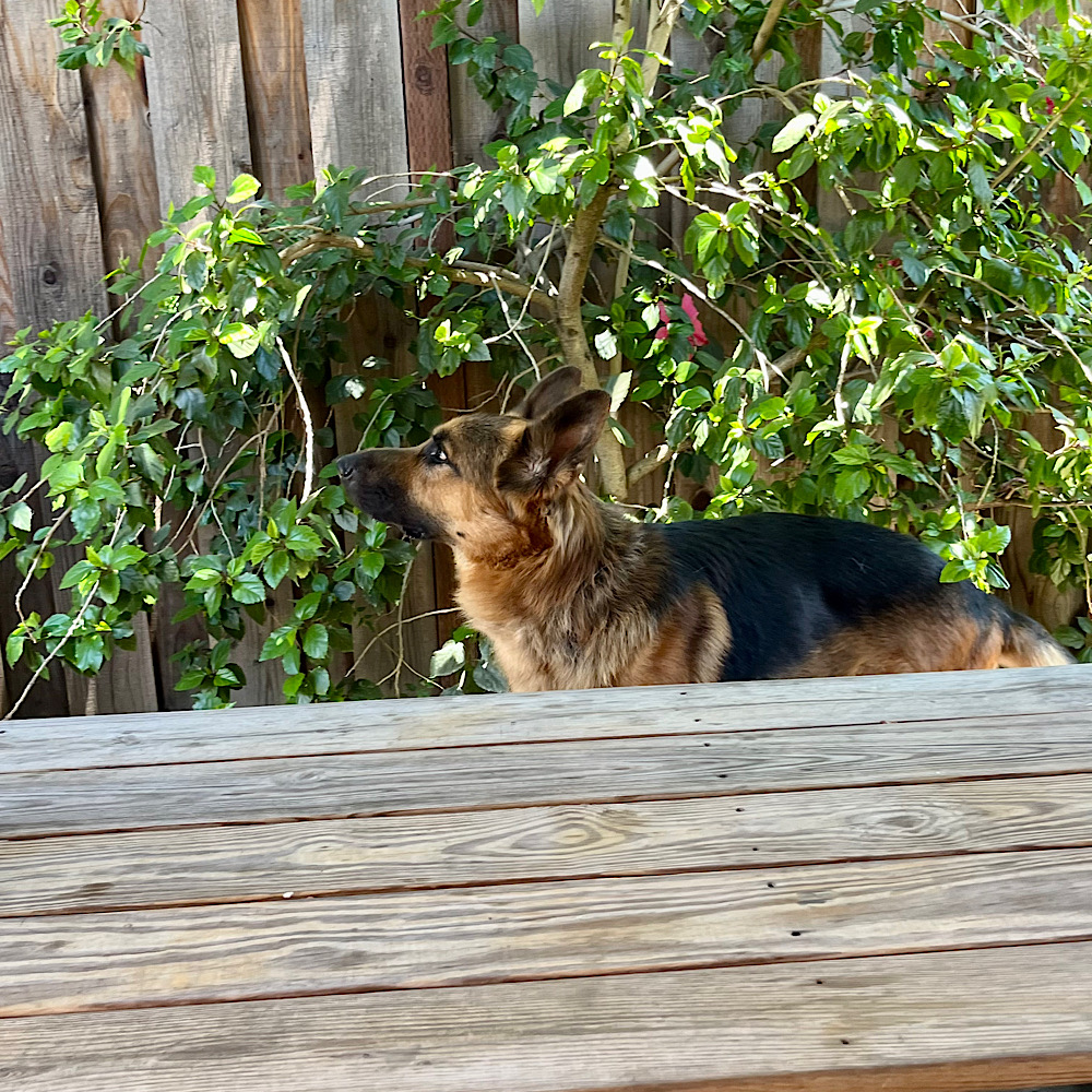 くしゃみがとまらない理由