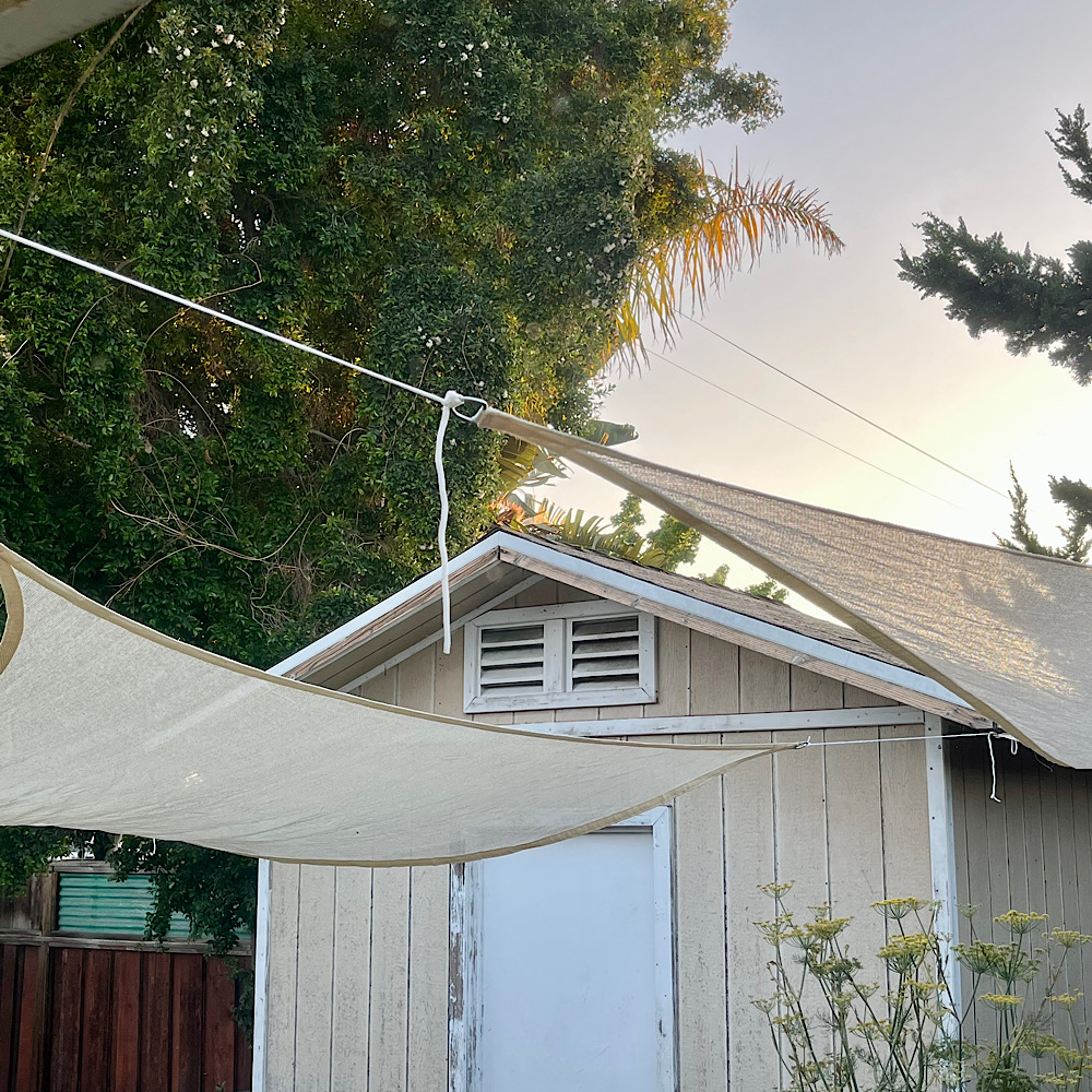 ブラフマ・ムフールタ