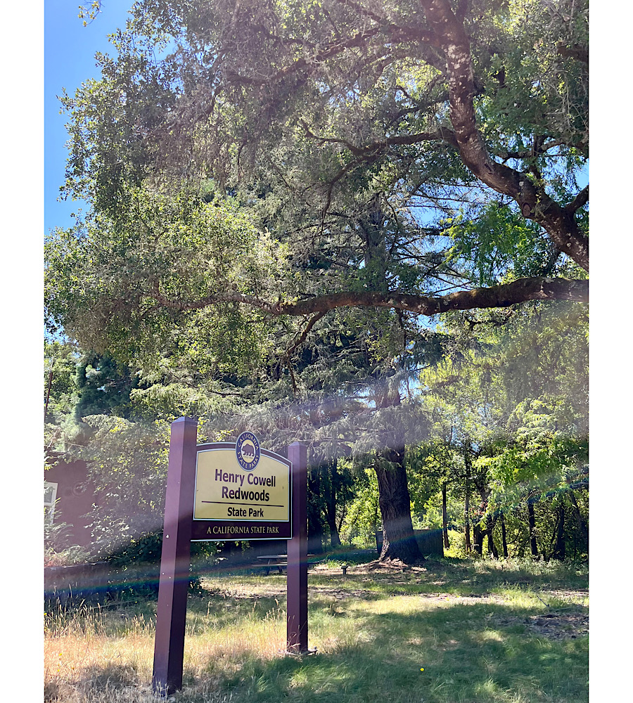 七夕の日に初挑戦