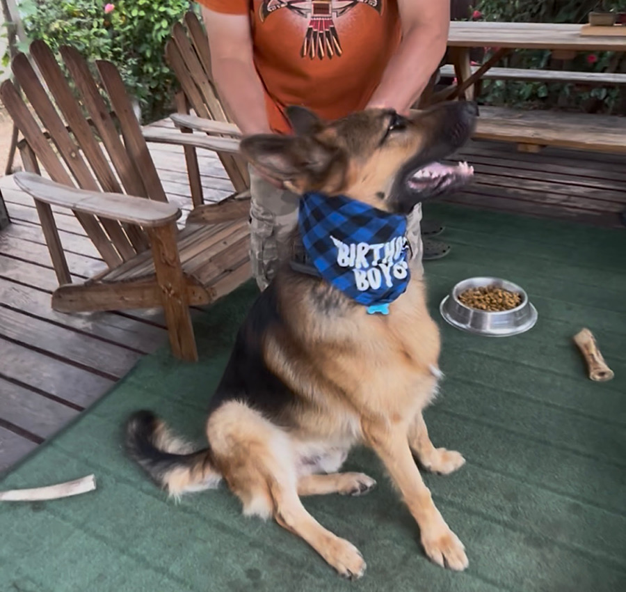 Aceの４歳の誕生日