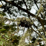 典型的なサンフランシスコの夏(苦笑)