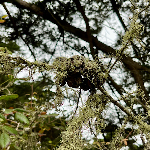 典型的なサンフランシスコの夏(苦笑)