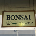 旦那さんへのプレゼント