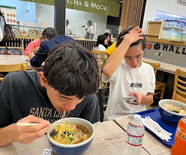 カルフォニア産の新鮮なわさびのお値段