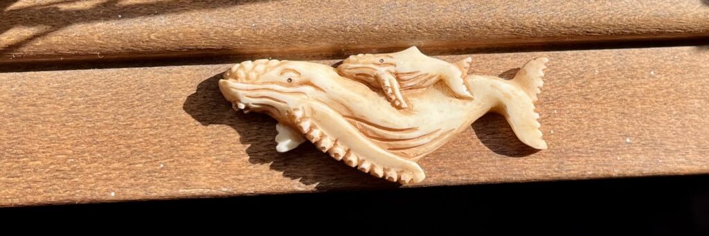 巨木　巨石　その次は…