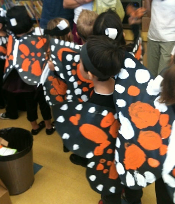 モナークバタフライ