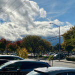 男性性ホルモンのシンボルカラー？