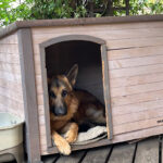 感謝祭２０２５