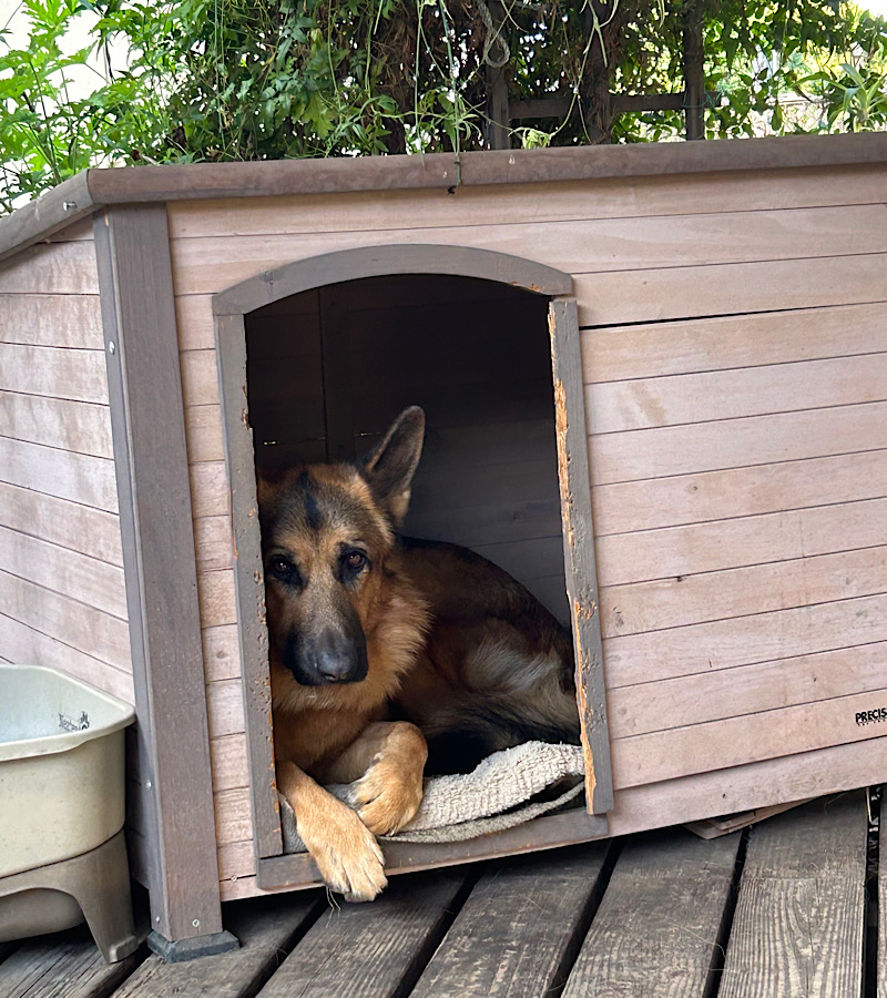 感謝祭２０２５