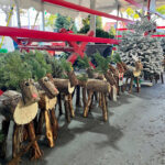 クリスマスツリー２０２５