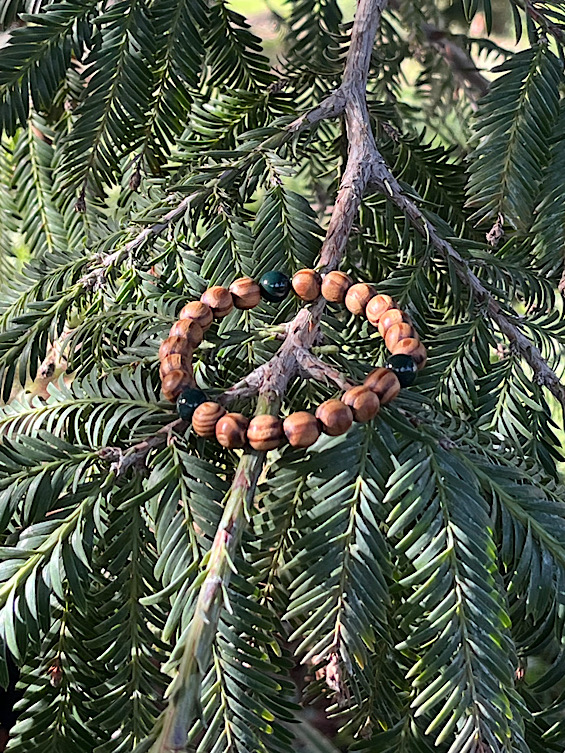 出雲の国に想いを馳せて