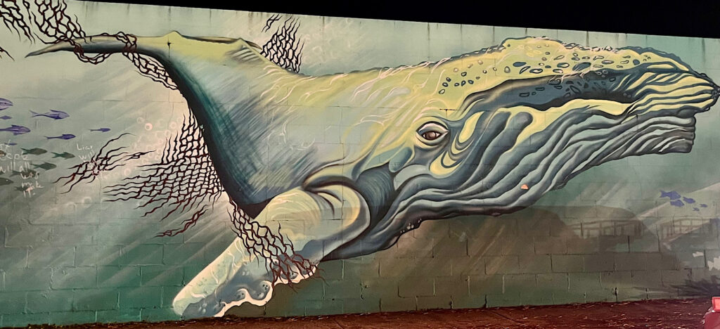 今年初のサンセットウオーク