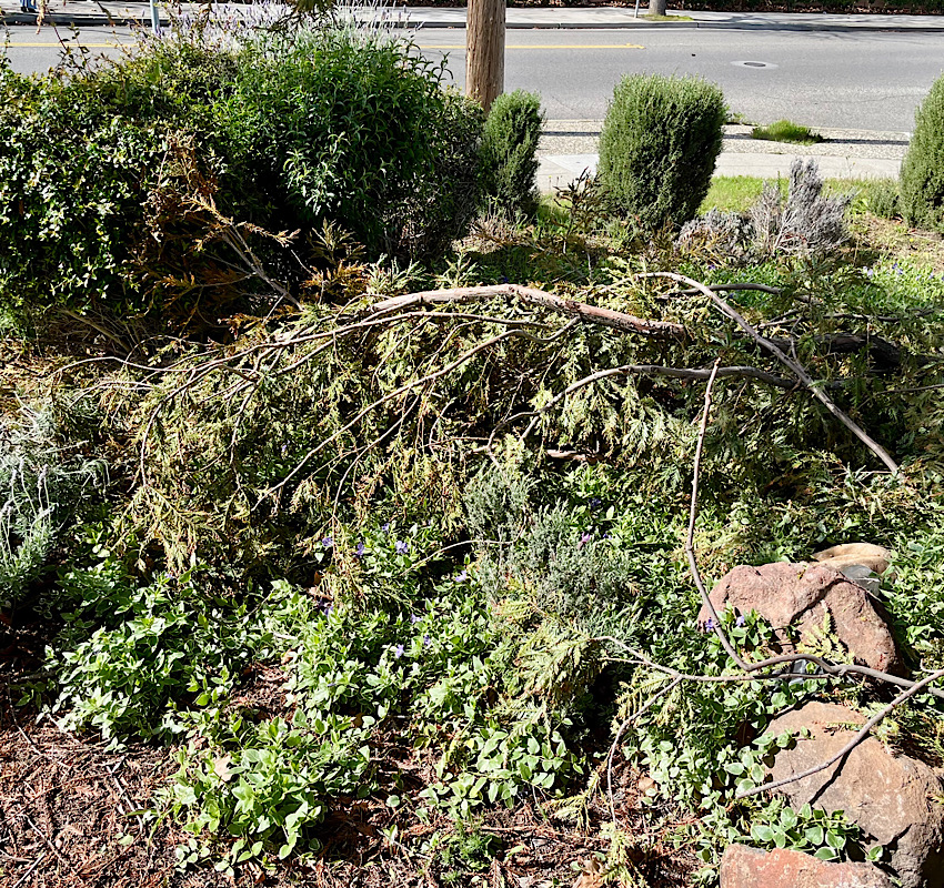 冬の嵐が去った後は…