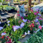 スプリングガーデニング