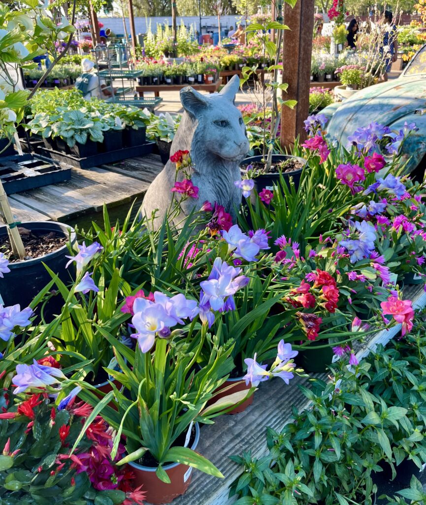 スプリングガーデニング