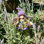 ラベンダーフィールド