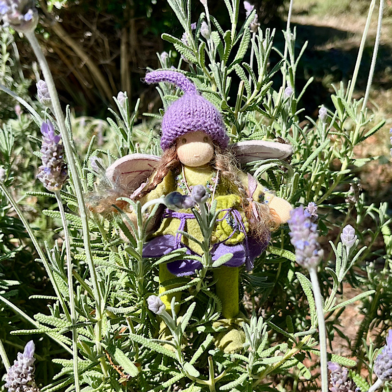 ラベンダーフィールド