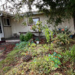 過去の経験を活かしながら新時代へ