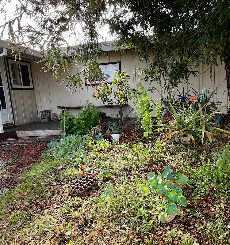 過去の経験を活かしながら新時代へ