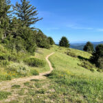 山の上にも春がやってきました