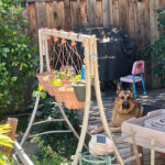 ちょっぴり変わった我が家の家庭菜園